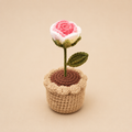 Blush Ombre Crochet Rose Pot