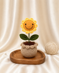 Sunbeam Smiley Crochet Flower Pot