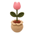 Petite Tulip Crochet Pot